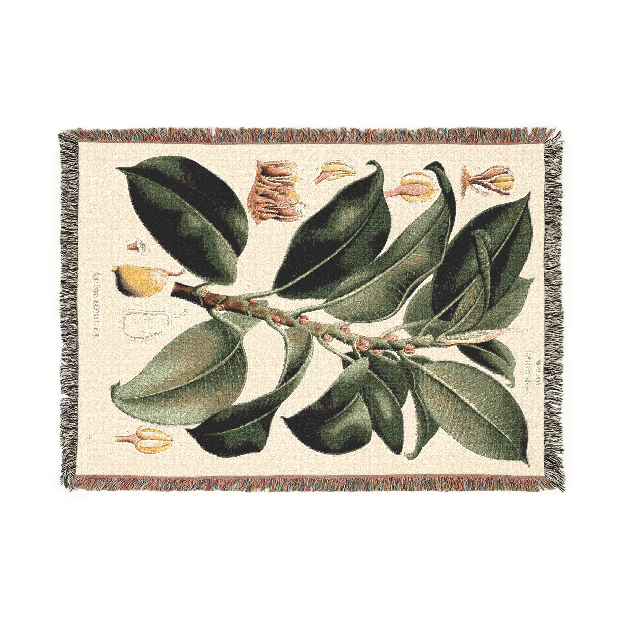 Rubber Fig Botanical Woven Blanket - Image 5
