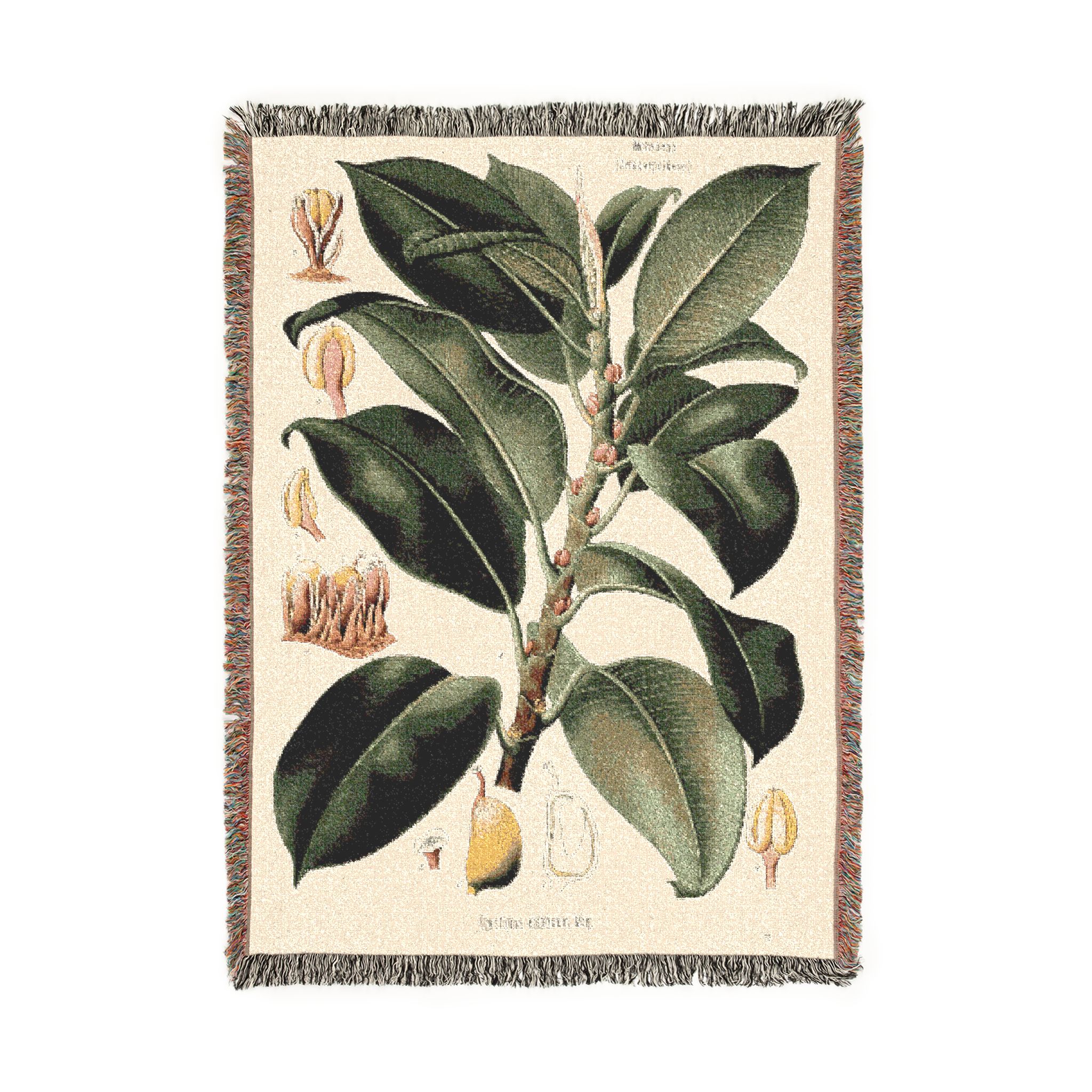 Rubber Fig Botanical Woven Blanket - Image 4